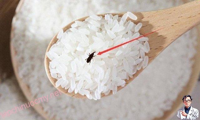 Đặt thứ này vào thùng gạo, đảm bảo để cả năm không lo mối mọt