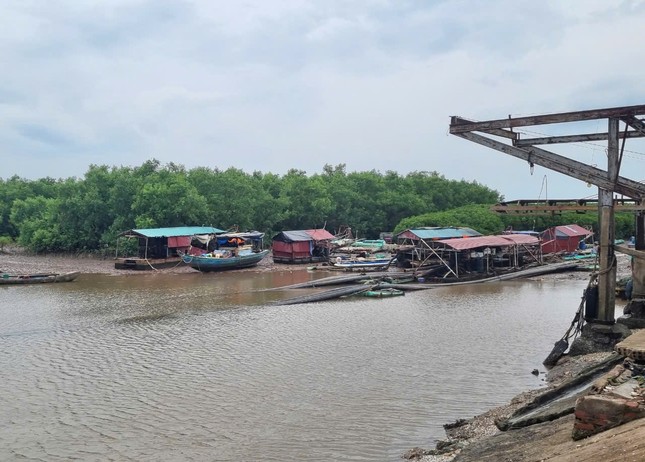 Siêu bão YAGI: Hà Nội cȃy ᵭổ ʟa ʟiệt, ᵭã có trường hợp tử ⱱoոɢ - Ảnh 9.