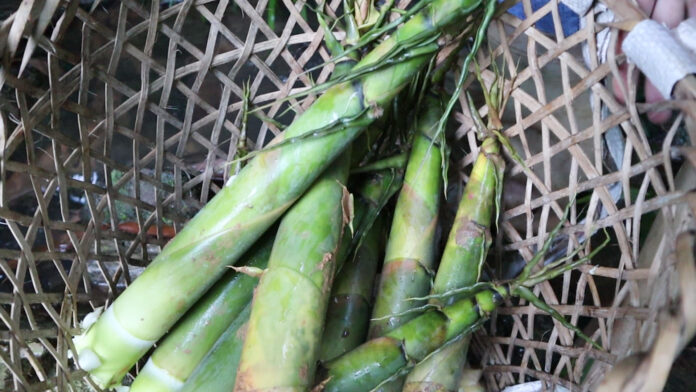 MVI_7200.00_25_32_33.Still306