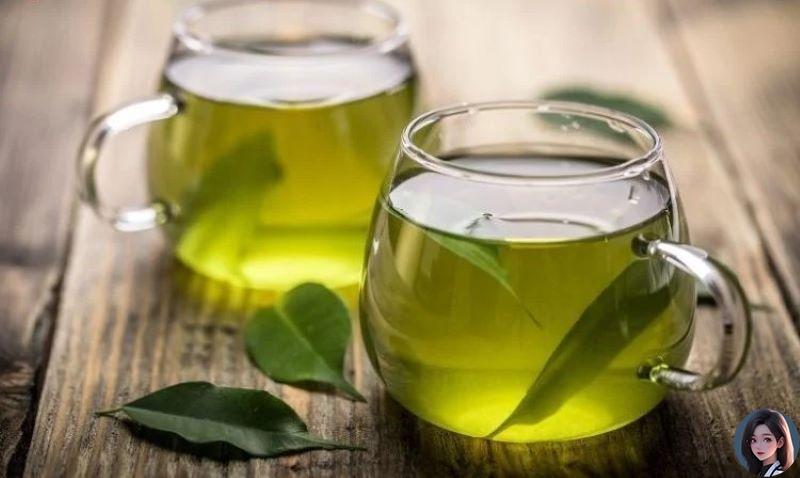 Nấu nước lá vú sữa tươi tối thiểu 10 ngày để uống chữa bệnh dạ dày