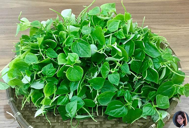 3 loại cây mọc dại ở Việt Nam nhưng được thế giới xem là 'siêu thực phẩm', tốt hơn cả nhân sâm