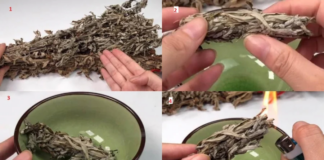 Vò nắm lá này đặt trong phòng, cả đêm không nhìn thấy con muỗi nào, yên tâm mà ngủ