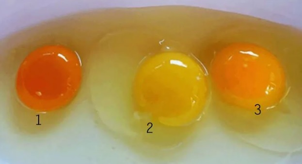 5 thực phẩm bổ dưỡng nhưng &quot;đại kỵ&quot; với trứng gà - Ảnh 2.