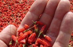 Loại hạt rẻ tiền có tác dụng ngang ngửa nhân sâm uống vào đẹp từ trong ra ngoài, chậm lão hóa 20 năm