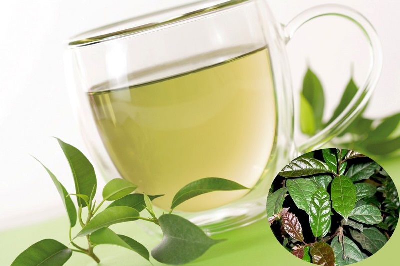 Nấu nước xạ đen uống với liều lượng phù hợp mang lại nhiều lợi ích cho sức khỏe