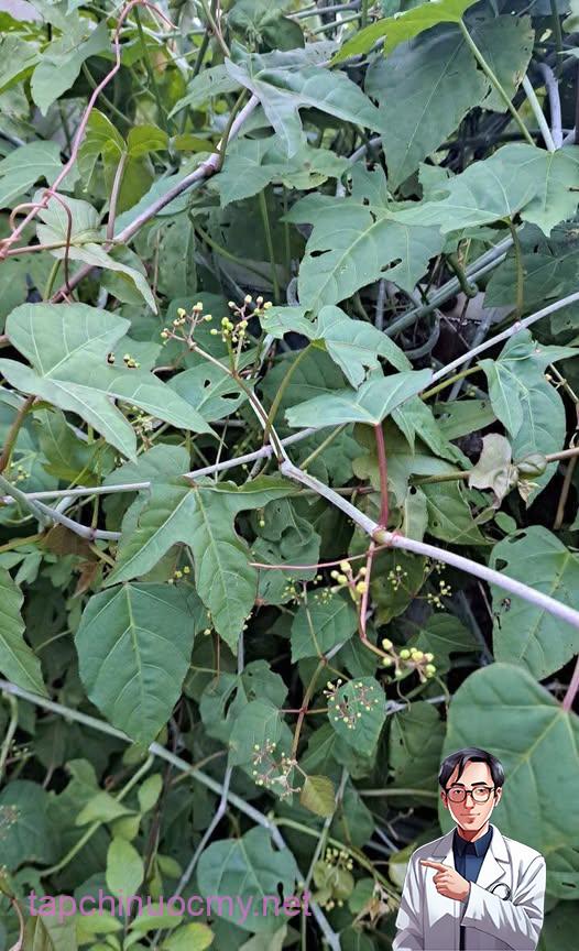 514324071_3935169246628748_1777761621219619951_n