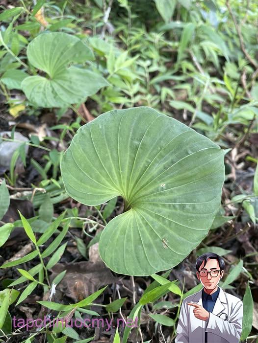 516385776_719342151085580_7909311132643928322_n