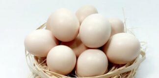 6 món ngon giúp loại bỏ mỡ nội tạng tốt ngang với việc tập thể dục