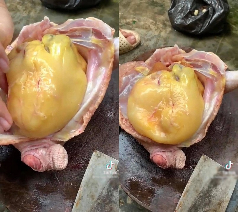 “Báu vật” trong bụng gà, biết tác dụng thì ai cũng tiếc hụi vì toàn vứt đi