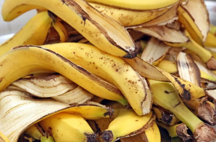 Lợi ích và công dụng của vỏ chuối ít người biết