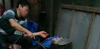 Này thì gà rán, ăn cho lắm vào