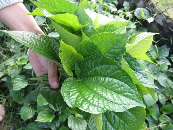 1-16798900302601340065119