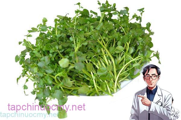 Cả thế giới mở tiệc ăn mừng vì mới phát hiện ra loại rau có khả năng chống un g th ư gấp trăm lần thuốc đặc trị , Ở Việt Nam mọc đầy ra