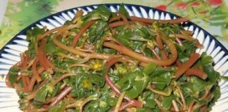 Những lợi ích tuyệt vời của rau sam với sức khỏe