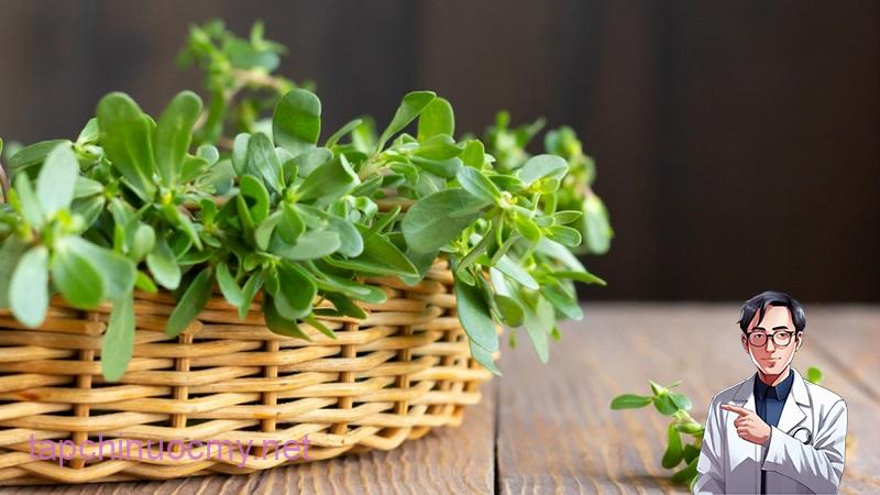 Rau tốt cho hệ thần kinh của cơ thể