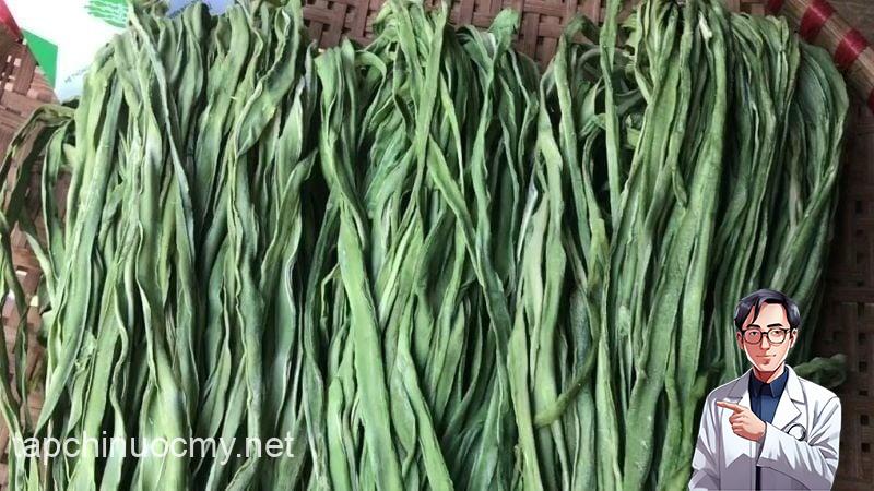 Rau tiến vua – hay còn được biết đến với nhiều tên gọi dân gian như rau công sôi, rau cần biển, rau câu hay rau cần khô – là một loại thực vật quý chứa hàm lượng dinh dưỡng cao. 