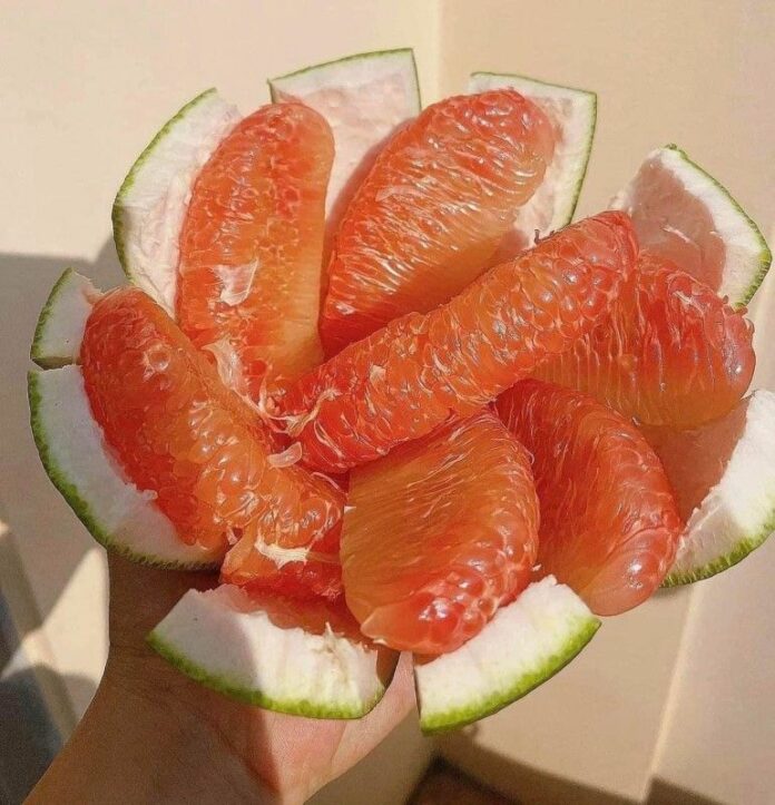 500345239_677137215296583_464075552038180508_n