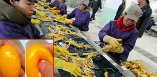 10 thực phẩm Trung Quốc được làm giả nhiều nhất, Việt Nam mình tiêu thụ đến 9 loại