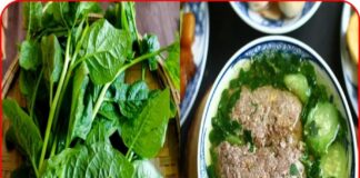 Ăn rau mồng tơi rất tốt nhưng có 2 người đại kị, ăn ít cũng tích độ.c