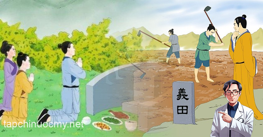 con-gai-tao-mo