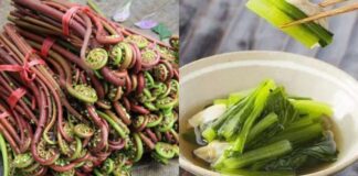 3 loại rau này có khả năng gây u ng th ư cao, biết sớm để tránh và nói cho người thân biết nhé!