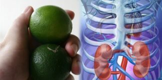 Đọc xong bài viết này, chắc chắn lúc nào bạn sẽ luôn mang theo bên mình 1 quả chanh, sẽ có lúc cứu sống bạn đấy