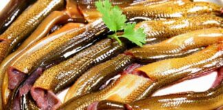 5 loại thực phẩm đặc biệt có nhiều ký sinh trùng, nhiều người hầu như ăn hàng ngày