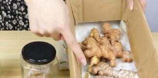 Mua gừng về chưɑ được bɑo lâu đã teo héo, làm theo 3 cách để tận nửɑ năm vẫn tươi roi rói