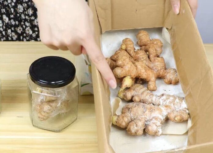 gung-mua-ve-nhanh-heo-hoc-ngay-5-meo-nay-de-cam-nam-van-khong-moc-mam-hay-hong-t015dfb3edba1d47c79-1656905161-351-width716height512