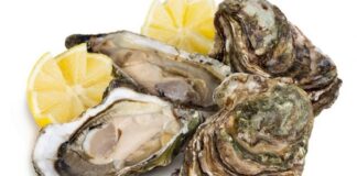 Lợi ích tích cực của hàu đối với sức khoẻ