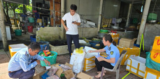 Trời ơi này thì chả cá chả tôm, sao bà con không thương nhau vậy?