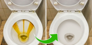 Nắp và bệ bồn cầu bị ố vàng lâu ngày: Áp dụng mẹo này bồn cầu trắng tinh, hết cả mùi hôi