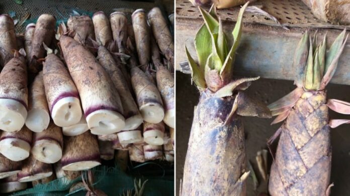 meo-phan-biet-mang-dang-mang-ngot-phunutoday-01-1740