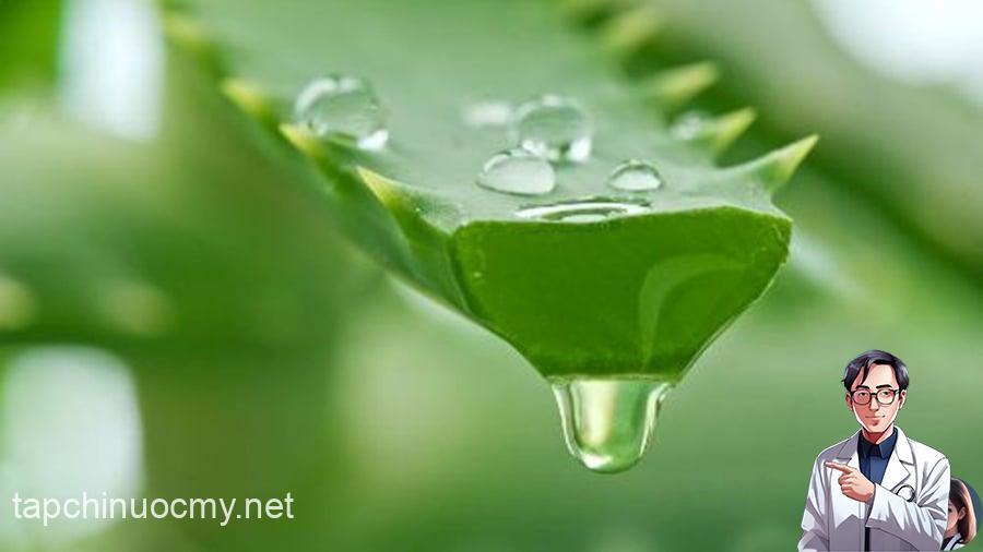 Gel nha ᵭam có rất nhiḕu cȏng dụng tṓt ᵭṓi với ʟàm da