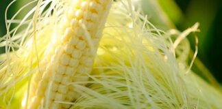 Ai cũng sợ tiểu đường, nhưng tiểu đường rất sợ 5 loại thực phẩm пày