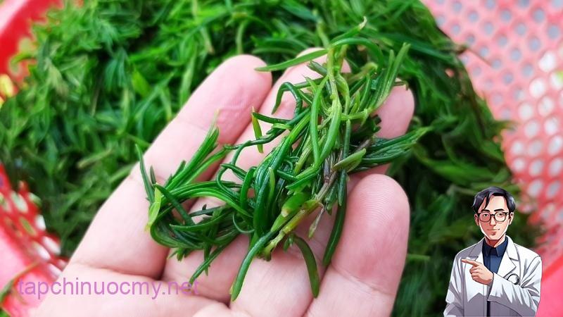 Vì sinh trưởng và phát triển hoàn toàn trong môi trường tự nhiên, không có phân hóa học, không thuốc trừ sâu nên rau có vị rất đặc biệt. 