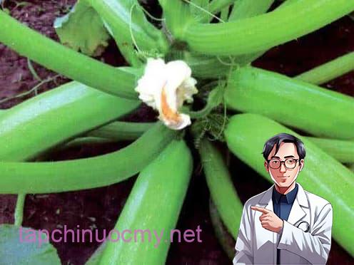 rau ung thư, ung thư