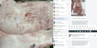 Kết quả điều tra mới nhất tại CPKết quả điều tra mới nhất tại CP