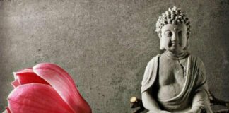 Đầu giường để 3 thứ, không tai họa cũng nợ nần chồng chất’, đó là gì vậy?