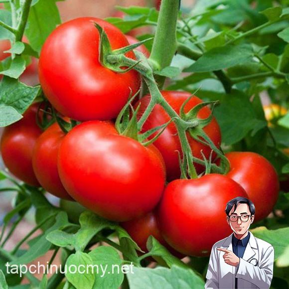 u tuyến giáp, u tuyến giáp nên ăn gì