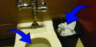 Giấy vệ sinh nên vứt vào thùng rác hay bồn cầu? Hóa ra 90% làm sai