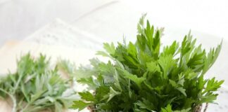 9 tác dụng tuyệt vời của ngải cứu đối với sức khỏe