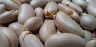 Tác dụng ít người biết của hạt mít với sức khỏe chúng ta