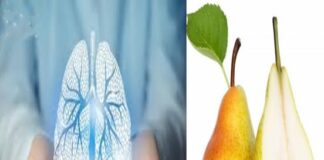 5 thực phẩm được ví là “máy hút bụi” cho phổi: Thường xuyên ăn, phổi sẽ được dọn sạch sẽ