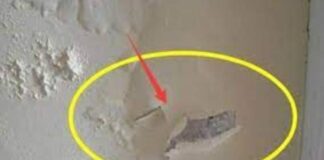 Mẹo xử lý tường nhà mốc lở, bong tróc: Cực dễ, không tốn tiền, nhà nào cũng làm được