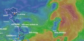 Dự báo đường đi của bão Wipha trong 24 giờ tới có hình dáng giống bão yagi lịch sử