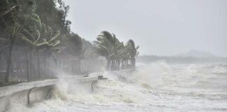 Bão Wipha đã vào Vịnh Bắc Bộ, khả năng tăng 2 cấp trong hôm nay