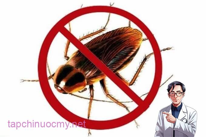 9-cach-diet-gian-duoi-gian-don-gian-nhat-va-hieu-qua-tuc-thi-879