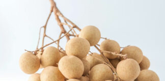 Những tác dụng của quả nhãn: trái cây mùa hè giàu dinh dưỡng