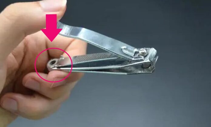 bam-mong-tay-8-ngoisaovn-w1200-h720